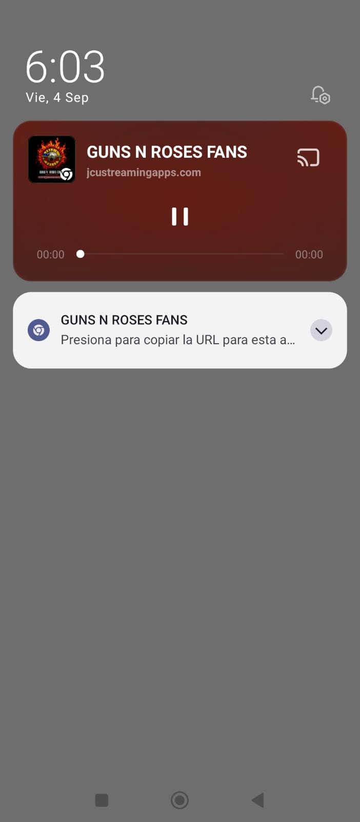 Imagen estilo TikTok 4